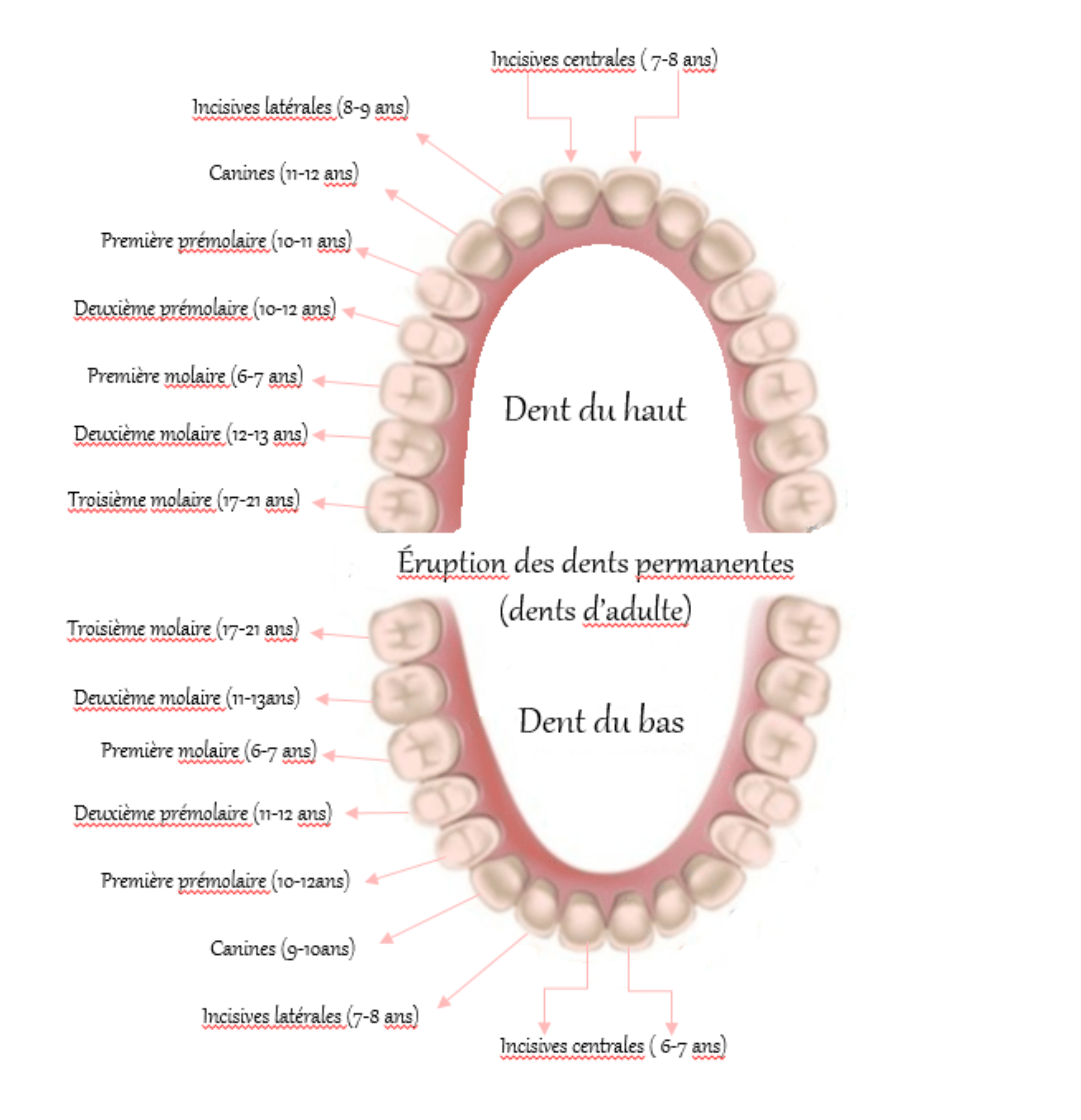 Questions fréquentes